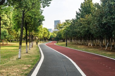 Yeni patika ve güzel ağaçlar parkta koşmak, yürümek ve bisiklete binmek için iz sürüyor. 