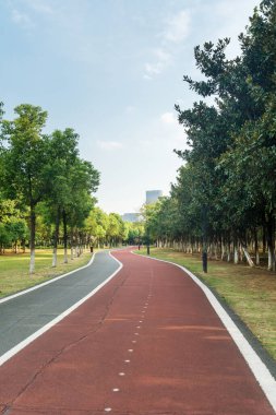 Yeni patika ve güzel ağaçlar parkta koşmak, yürümek ve bisiklete binmek için iz sürüyor. 