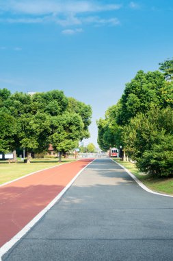 Yeni patika ve güzel ağaçlar parkta koşmak, yürümek ve bisiklete binmek için iz sürüyor. 
