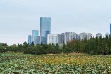 Şangay 'da modern bina geçmişi olan şehir parkı.