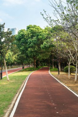 Yeni patika ve güzel ağaçlar parkta koşmak, yürümek ve bisiklete binmek için iz sürüyor. 