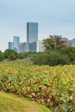 Bahar Parkı ve modern şehir