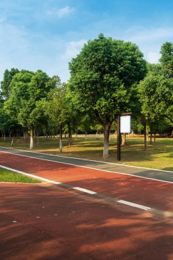 Yeni patika ve güzel ağaçlar parkta koşmak, yürümek ve bisiklete binmek için iz sürüyor. 