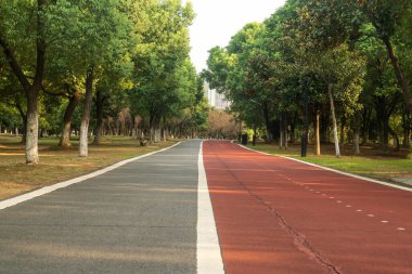 Yeni patika ve güzel ağaçlar parkta koşmak, yürümek ve bisiklete binmek için iz sürüyor. 