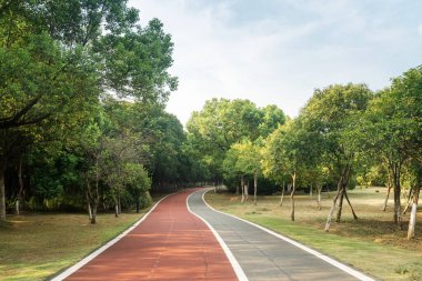 Yeni patika ve güzel ağaçlar parkta koşmak, yürümek ve bisiklete binmek için iz sürüyor. 