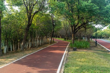 Yeni patika ve güzel ağaçlar parkta koşmak, yürümek ve bisiklete binmek için iz sürüyor. 