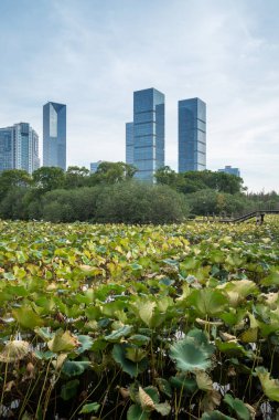 Bahar Parkı ve modern şehir