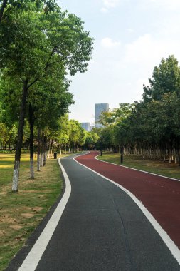 Yeni patika ve güzel ağaçlar parkta koşmak, yürümek ve bisiklete binmek için iz sürüyor. 