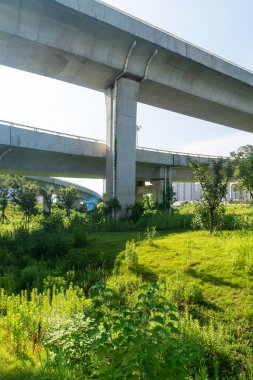 Şehirdeki üst geçidin altında beton yapı ve asfalt yol alanı