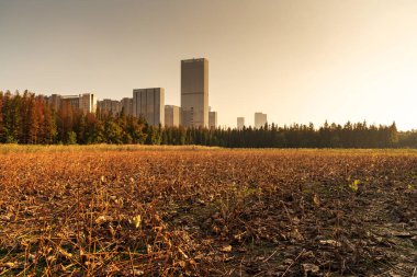 Gündoğumunda modern şehir, Nanchang ufuk çizgisi.
