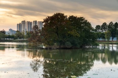 Parktaki göletin çevresi yemyeşil