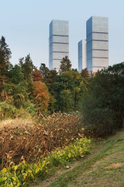 Şangay 'da modern bina geçmişi olan şehir parkı.