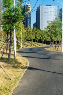 Çin 'deki Şehir Parkı yolu.
