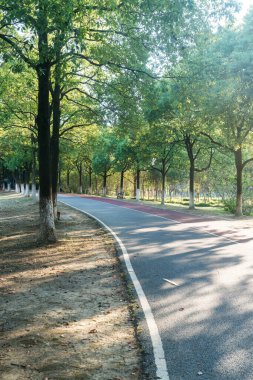 Yeni patika ve güzel ağaçlar parkta koşmak, yürümek ve bisiklete binmek için iz sürüyor. 