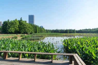 Bahar Parkı ve modern şehir