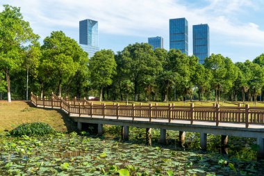 Şangay 'da modern bina geçmişi olan şehir parkı.