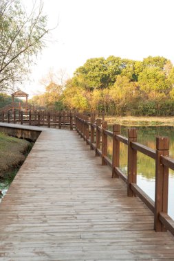 Şehir parkında tahta kaldırım. 