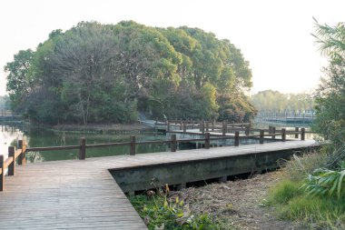 Şehir parkında tahta kaldırım. 