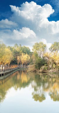 Parktaki göletin çevresi yemyeşil