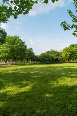 Yeşil şehir parkının güzel manzarası