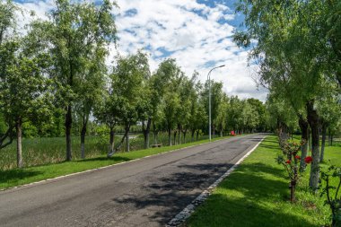 Yeni patika ve güzel ağaçlar parkta koşmak, yürümek ve bisiklete binmek için iz sürüyor. 