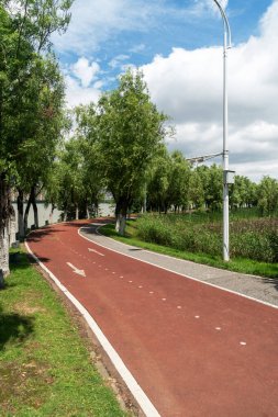 Yeni patika ve güzel ağaçlar parkta koşmak, yürümek ve bisiklete binmek için iz sürüyor. 