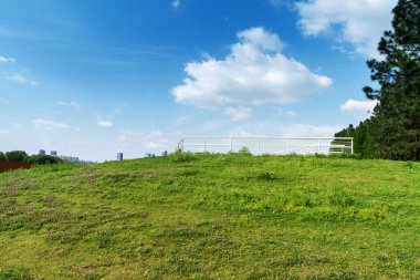 Yeşil şehir parkının güzel manzarası