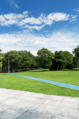 Yeşil şehir parkının güzel manzarası