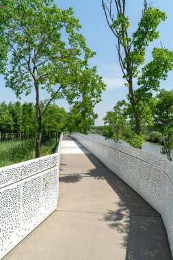 Çin 'deki Şehir Parkı yolu.