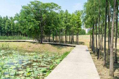 Bahar Parkı ve modern şehir