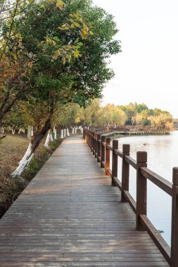 Şehir parkında tahta kaldırım. 