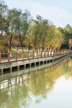 Güzel ve rahat bir bahçede, boş bir sokak. Güzel mavi gökyüzünün altında.