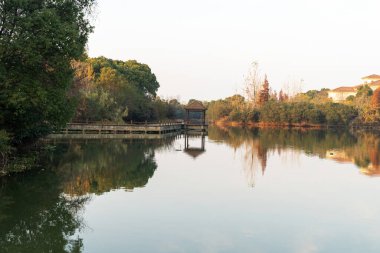 Parktaki göletin çevresi yemyeşil