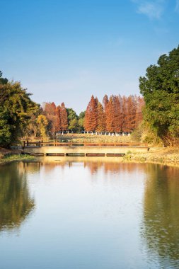 Güzel ve rahat bir bahçede, boş bir sokak. Güzel mavi gökyüzünün altında.
