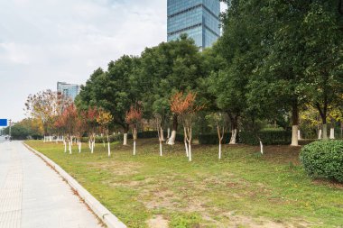 Şangay 'da modern bina geçmişi olan şehir parkı.