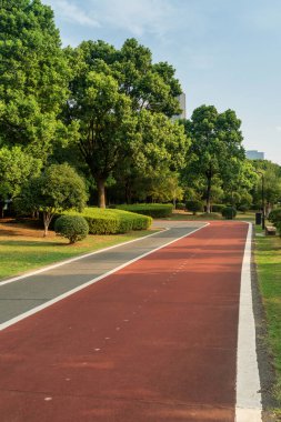 Yeni patika ve güzel ağaçlar parkta koşmak, yürümek ve bisiklete binmek için iz sürüyor. 