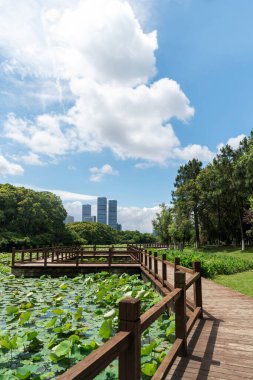 Bahar Parkı ve modern şehir