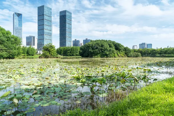 Çin 'deki Lakeside modern ofis binası