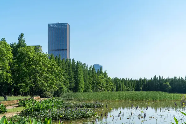 Bahar Parkı ve modern şehir