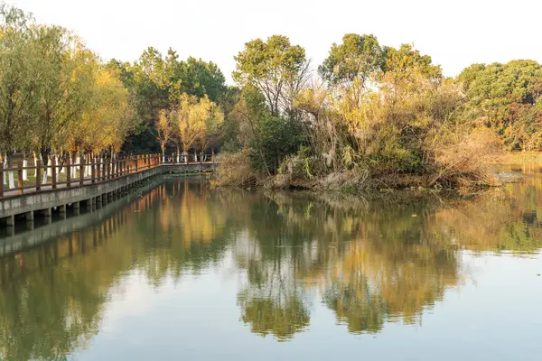 Parktaki göletin çevresi yemyeşil