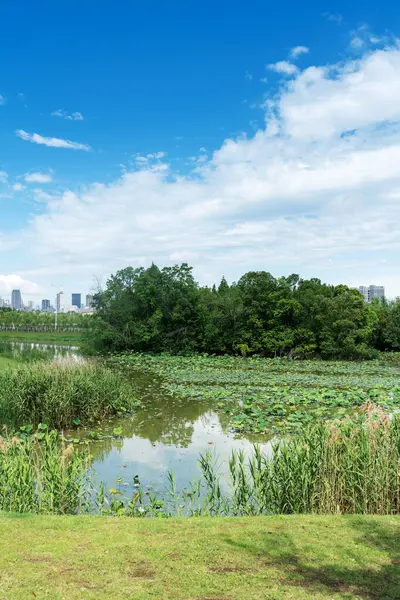 Parktaki göletin çevresi yemyeşil