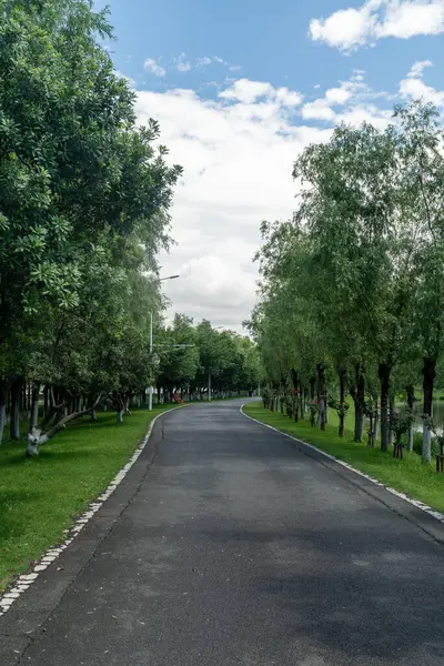 Yeni patika ve güzel ağaçlar parkta koşmak, yürümek ve bisiklete binmek için iz sürüyor. 