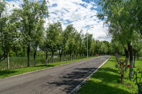 Yeni patika ve güzel ağaçlar parkta koşmak, yürümek ve bisiklete binmek için iz sürüyor. 