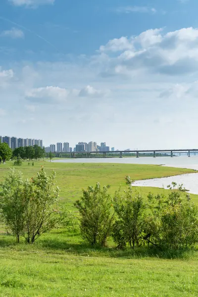 Yeşil şehir parkının güzel manzarası