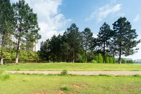 Bahar Parkı ve modern şehir