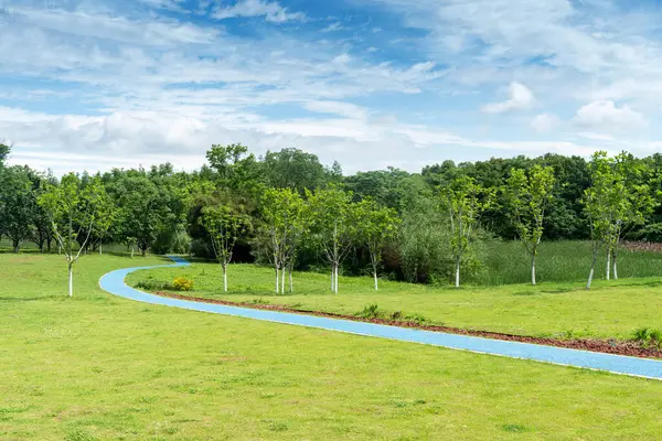 Yeşil şehir parkının güzel manzarası