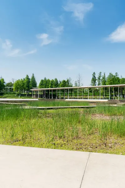 Bahar Parkı ve modern şehir