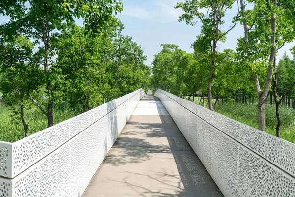 Çin 'deki Şehir Parkı yolu.