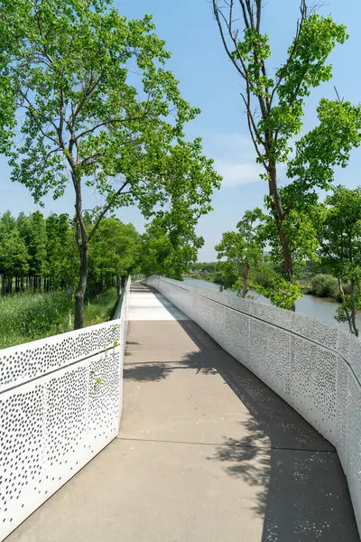 Çin 'deki Şehir Parkı yolu.