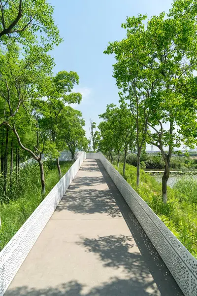 Çin 'deki Şehir Parkı yolu.